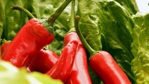 Capsaicin aus Chilis Capsaicin aus Chilis