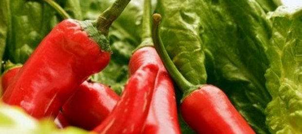 Capsaicin aus Chilis
