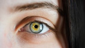 Aphantasie &ndash; wenn die visuelle Vorstellungskraft fehlt