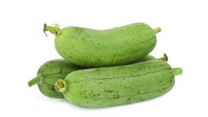 Die Schwammgurke &ndash; &uuml;berraschend vielf&auml;ltig 