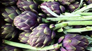 Bitter macht gesund Bitter macht gesund