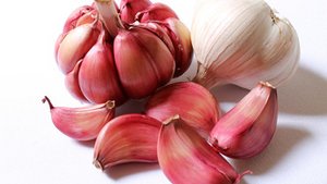 Knoblauch – die Wunderknolle Knoblauch – die Wunderknolle
