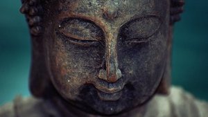 Morita-Therapie Morita-Therapie