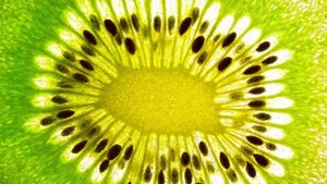 Kiwi &ndash; die Powerfrucht