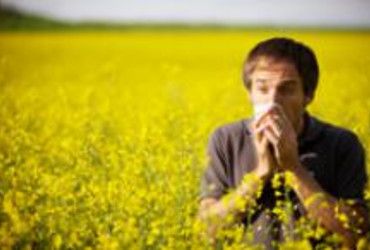 Ist es eine Erk&auml;ltung oder doch eine Allergie?