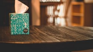 Schnupfen &ndash; Nase putzen oder hochziehen?
