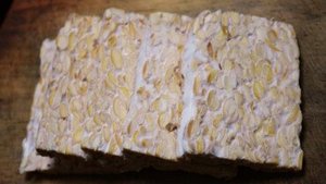 Tempeh &ndash; die vegane Proteinquelle