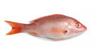 Fisch ist gesund und &auml;usserst kalorienarm!