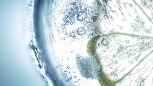 Wasser mit oder ohne?