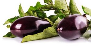 Aubergine &ndash; das violette Wunder