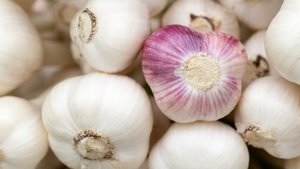 Allesk&ouml;nner Knoblauch