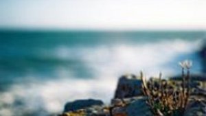 Erste Hilfe in den Ferien