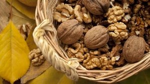 Brainfood