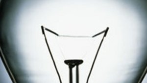 Moringa &ndash; der Baum der Zukunft?