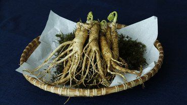 Das Allheilmittel Ginseng