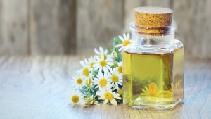 Kräuter, die beim Einschlafen helfen Kräuter, die beim Einschlafen helfen