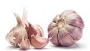 Knoblauch schmeckt und desinfiziert