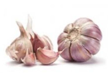 Knoblauch schmeckt und desinfiziert