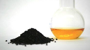 Schwarzk&uuml;mmel&ouml;l als Heilmittel