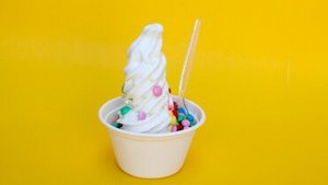 Frozen Yoghurt Frozen Yoghurt