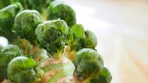 Rosenkohl &ndash; das gesunde Wintergem&uuml;se