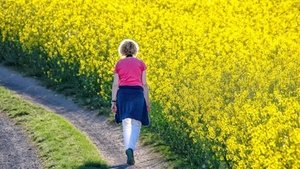 Spazieren &ndash; Fit auf Schritt und Tritt