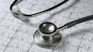 Arnika &ndash; das gelbe Wunder