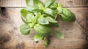 Basilikumsamen &ndash; klein aber fein!