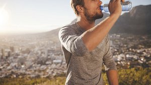 Was bringt den Stoffwechsel in Schwung?