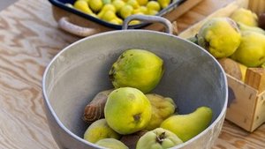 Quitten &ndash; vielseitiges Obst