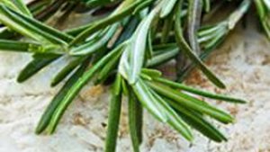 K&uuml;chenkr&auml;uter Einmaleins: Rosmarin