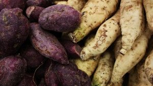 S&uuml;sskartoffel &ndash; die Superknolle