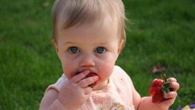 Fingerfood f&uuml;r Kleinkinder