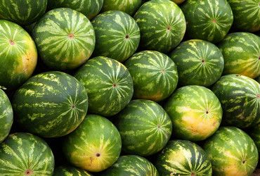 Melonen erfrischen den Sommer