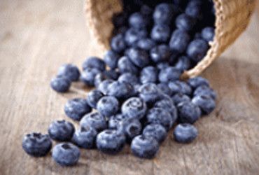 Blaubeeren &ndash; blaue Gesundmacher!