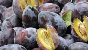 Pflaumen &ndash; gut f&uuml;r die Verdauung