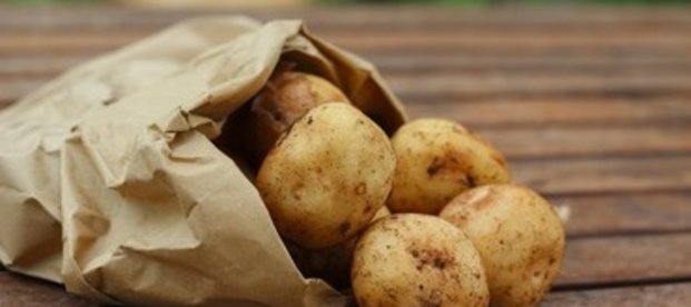 Kartoffelprotein