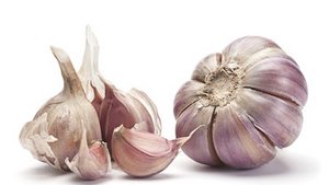Knoblauch – die Wunderknolle Knoblauch – die Wunderknolle