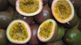 Passionsfrucht &ndash; klein aber kraftvoll