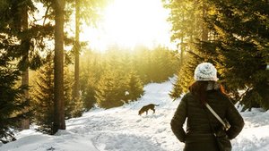 Winterdepression ade!