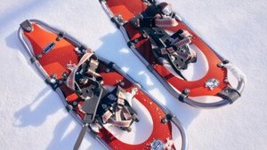Fit im Winter: Schneeschuhlaufen