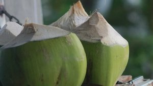 Kokoswasser