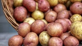 Darf man keimende Kartoffeln noch essen?