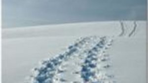 Achtung Grippeviren!