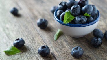 Heidelbeeren: klein, rund und gesund