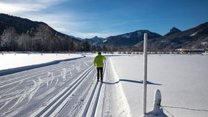 Langlaufen ist angesagt
