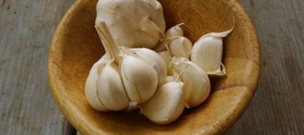 Hausmittel gegen Knoblauchgeruch