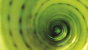 Chlorophyll &ndash; das gr&uuml;ne Wunder