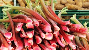 Rhabarber &ndash; sauer macht gesund