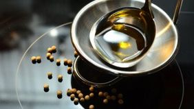 Camelina-&Ouml;l: Inhaltsstoffe, Wirkung und Anwendung